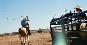 Cowboy Life