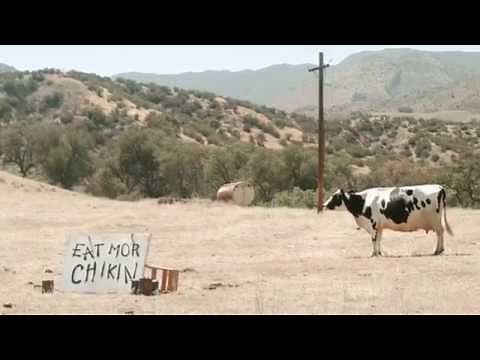 Meet the Cows Behind the “Eat Mor Chikin” Campaign