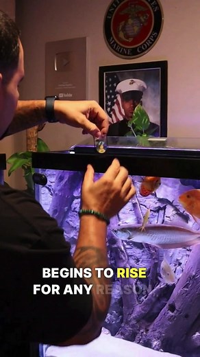 TikTok - Make Your Day