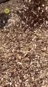 Recycling Waste Animal Bones into Rosary #animal #bones #recycling #waste #making | Workshop English