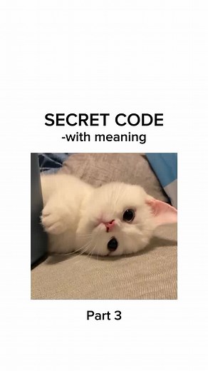 Deciphering Secret Codes: Unveiling Hidden Meanings