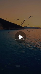 ‎ملوتِکست | آهنگ نوستالژی‎ | ‎پروازی به مقصد آسمان…🪽✈️🖤 به یاد جانباختگان پرواز ps.752 @ebi Ebi | Derakht «Slow Remix» 🔹Music @rezaparsamusic این ورژن رو تو کانال...‎ | Instagram