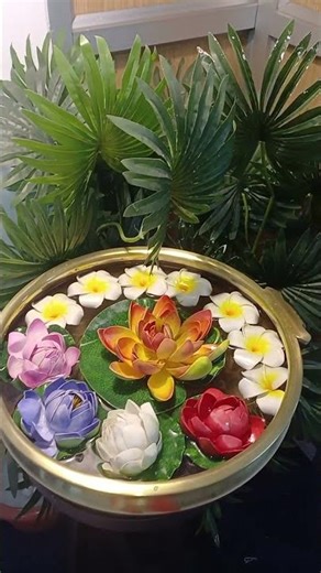 Floating Lotus Flowers🪷🪷🌸 #aquarium #decoration #Champa #love