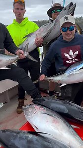 6.1K views · 92 reactions | SO MANY TUNA… I had anxiety those rods were going to fly out of the rod holders! : (IG/spinking__) Follow @scienceoffishing •Like and Share this post. •Checkout my profile for more fishing related content. Hashtag: #scienceoffishing #tuna #musicalchairs | The Science of Fishing | Facebook