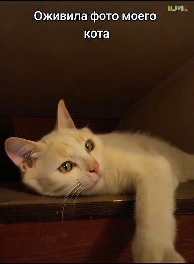 #fyp #ии #оживлениефото