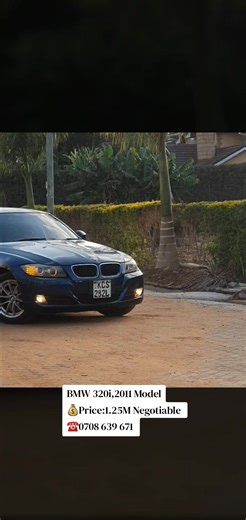 2011 BMW 320i for Sale with Premium Features