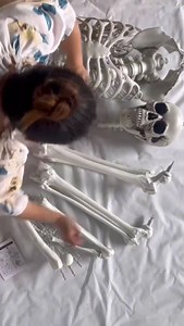 Life Size Posable Halloween Skeleton, Halloween Human/Dog Skeleton with Movable Joints, 5.4Ft Skeleton Prop Decoration, Life Size Human Skeleton for in/OutdoorYard Garden Lawn Patio (7.8FT Human)