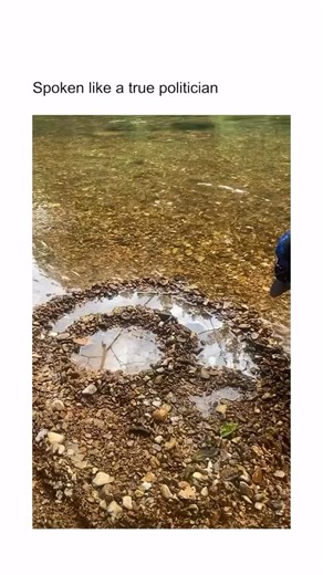 Humor Folder on Instagram: "Kids have absolutely no filter—they’ll straight-up clown your fresh haircut, question why your teeth are “all crooked like that,” or spill your deepest family secrets to random people in line at the grocery store without a second thought. Their brutal honesty is savage, laugh-out-loud funny, and oddly innocent all at once. They’re not trying to hurt feelings; they’re just operating on full truth mode nonstop, zero editing, zero social awareness. It’s basically having 