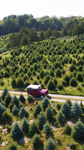 18K views · 37 reactions | Serving up another VV holiday tradition – Senior Merchant Graham has been cutting down the VV tree for YEARS now. This year, he brought Casey and Noah along to lend a hand… all in a day’s work! | Vineyard Vines | Facebook