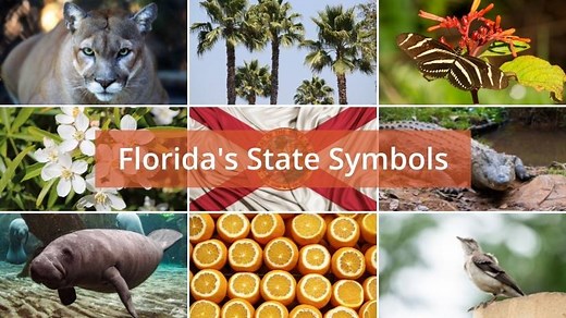 What are Florida’s State Symbols? - Foreign USA