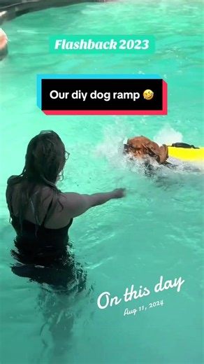 DIY Dog Ramp That Worked — Why It Failed and How to Improve