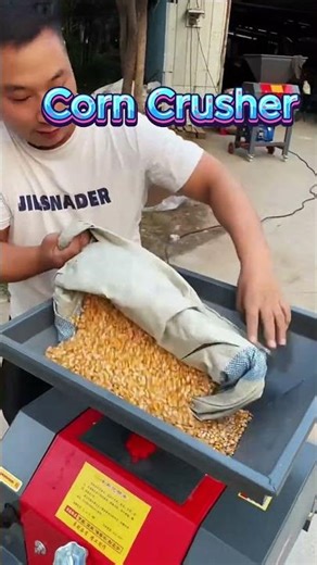Corn Crusher for Poultry Feed | High Output Grain Mill#livestockfeed #corncrusher #farmequipment