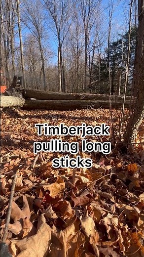 Skidder working in the woods #skidder #timberjack #stihl #woods #logging