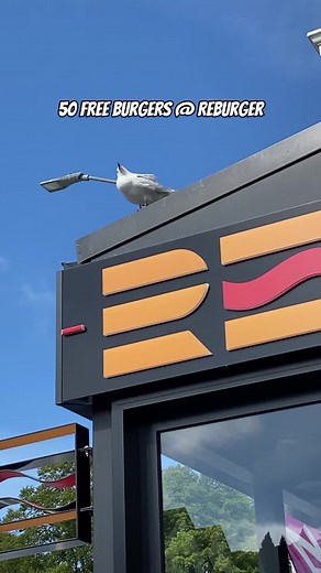 Enjoying Delicious Burgers at RE Burger: A Culinary Treat