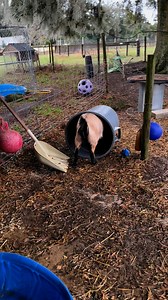 Molly is always happy to help! | Kindred Spirits Sanctuary
