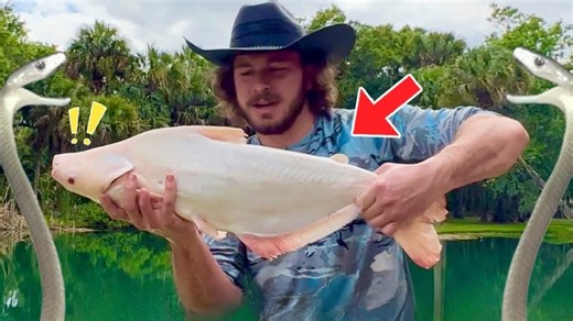 Rescue fish arrived and the Black Mambas were not happy