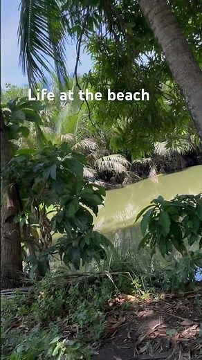 #relaxing under coconut tree #chill #beach #life
