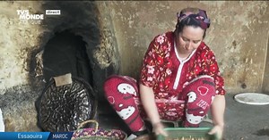 Maroc : le trésor de l'huile d'argan