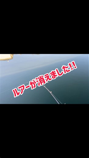 【釣り】少し沖の岩の真横を通してみると...#fishing #クルコマ