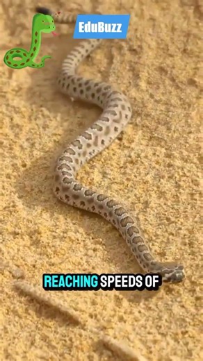 Fact of Snake#EduBuzz #Snake