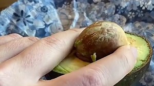 Here's how to remove the stone from an avocado with just one hand