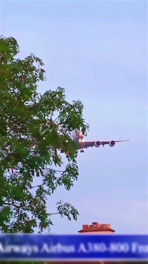 Stunning Takeoff and Landing Moments with Etihad Airways