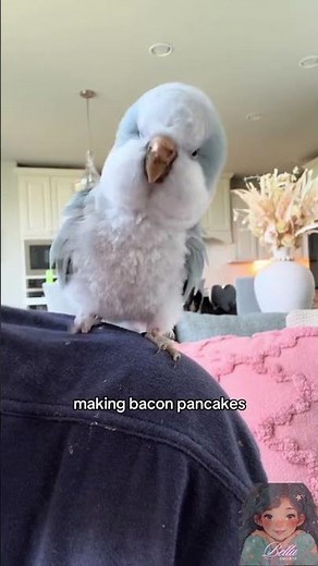 Singing Bird Serenaded with Epic Bacon Pancakes 🎶🥓🥞. #birds #cute #bacon #pancake