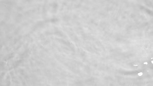 Download water ripple overlay for free