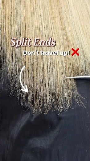 Split ends don't travel. This does. ⚠️