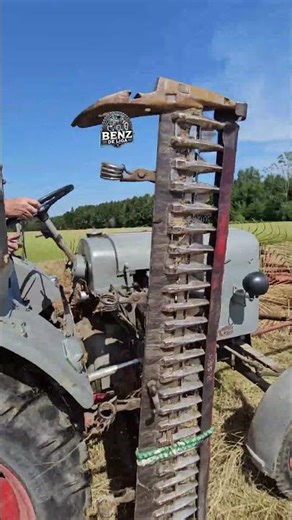 Eicher 1 Zylinder beim Heu schwaden!🎩🌞🏁