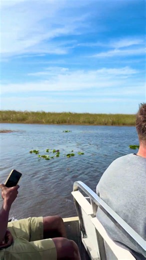 Everglade national Park Airboat ￼