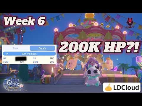 ROOC : 200K HP? PvE High Priest Build! Full Support + Magnus Farming Build (Ragnarok Origin Classic)