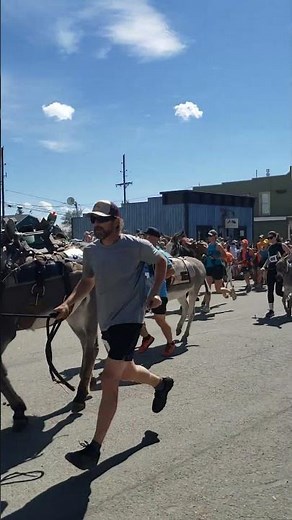 Burro Days Fair play Colorado