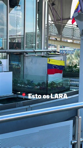 Descubre Barquisimeto: Ciudad Musical de Venezuela