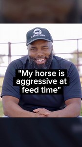 The key to addressing a horse who is aggressive around feeding time is to provide clear expectations #horseaggression #feedtimebehavior #clearexpectations #horsetraining #animalhandling | Steady Horse