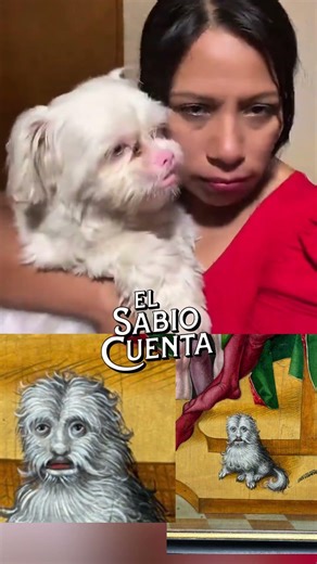 Cuando tu perrito parece arte antiguo