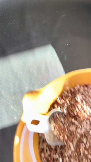 Voihan aurinko minkä teit! ☀️☀️☀️ Keväthulluus iski. Isoanopinkieli pääsi maailman kauneimman ruukun sisään. Kasvualustaksi sille valikoitui mullaton kaktuksille ja mehikasveille suunnattu DigiGardenin kasvualusta. Puhdistin myös pölyiset ja likaiset lehdet oliiviöljypohjaisella kasvisaippualla. Aika hieno kiilto tuli! 😍 Niin ja mullanvaihtomatto in action! Ei sotkua muualla kuin maton sisäpuolella; sinne se kuuluukin! Kannattaa tilata tämä kotimainen käsityötuote itselle kevään sotkuhommiin, e