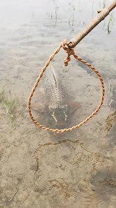 166K views · 636 reactions | Carp Fishing Tips You Need to Try #reels #fish #fishing #fishingtrap | Catch Fish With ET | Facebook