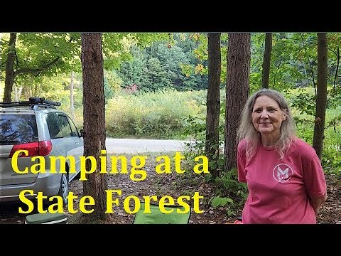 Camping at a State Forest (Van Camping)