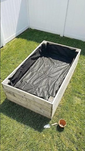 One Free Pallet Grew Tomatoes, Zucchini, and Lettuce 🌿