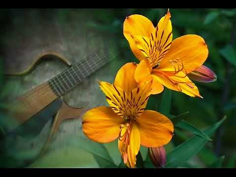 DANCE ON-THE SHADOWS-BACKING TRACK