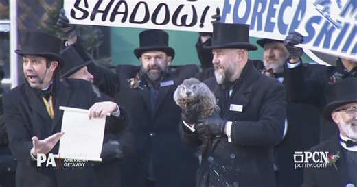 Punxsutawney Phil predicts six more weeks of winter after seeing his shadow at Gobbler's Knob