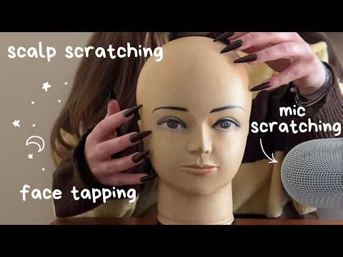 ASMR Tapping & Scratching on Mannequin Head, Face, Ear & Scalp ✨ No Talking