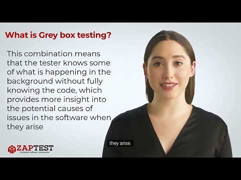 What is Grey box testing