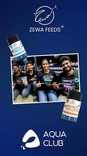 Zewa Feeds X Aqua Club The collaboration you've been waiting for is...