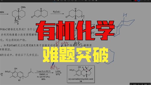 10th ArCHO 有机部分