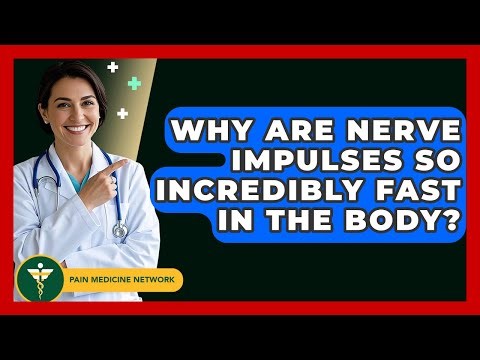 Why Are Nerve Impulses So Incredibly Fast In The Body? - Pain Medicine Network
