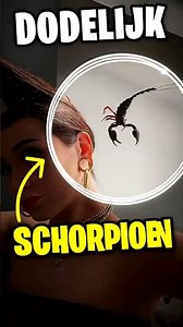 Meisje Is In Extreem Gevaar!