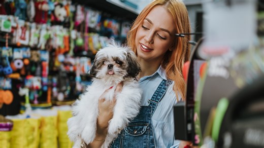 New 'pet shop' law would ban Americans from buying puppies and kittens in stores