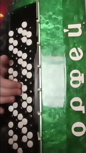 Ця пісня торкається душі… | Хочу я з Тобою говорити | Accordion